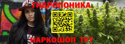 хмурый Нальчик