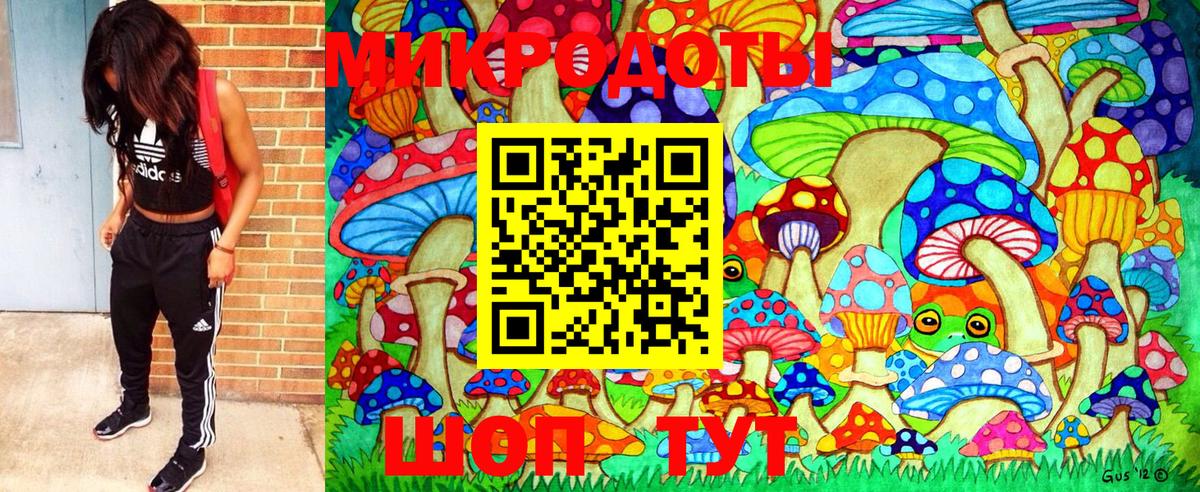 Галлюциногенные грибы Psilocybe  Вход с VPN  Орёл 